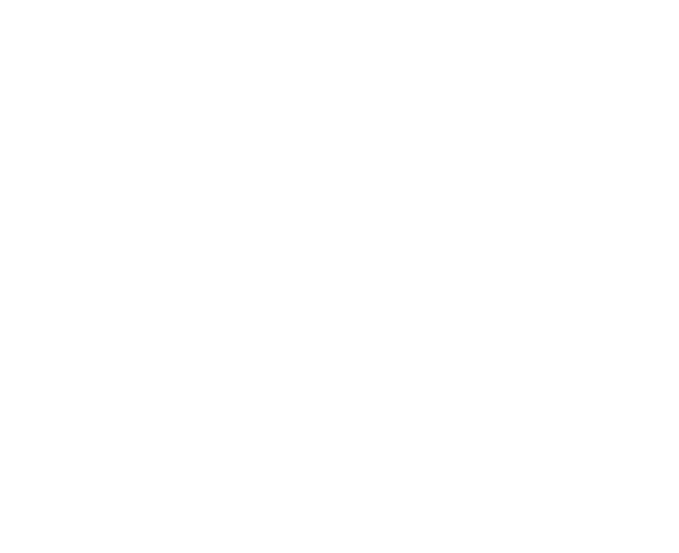Texte du festival